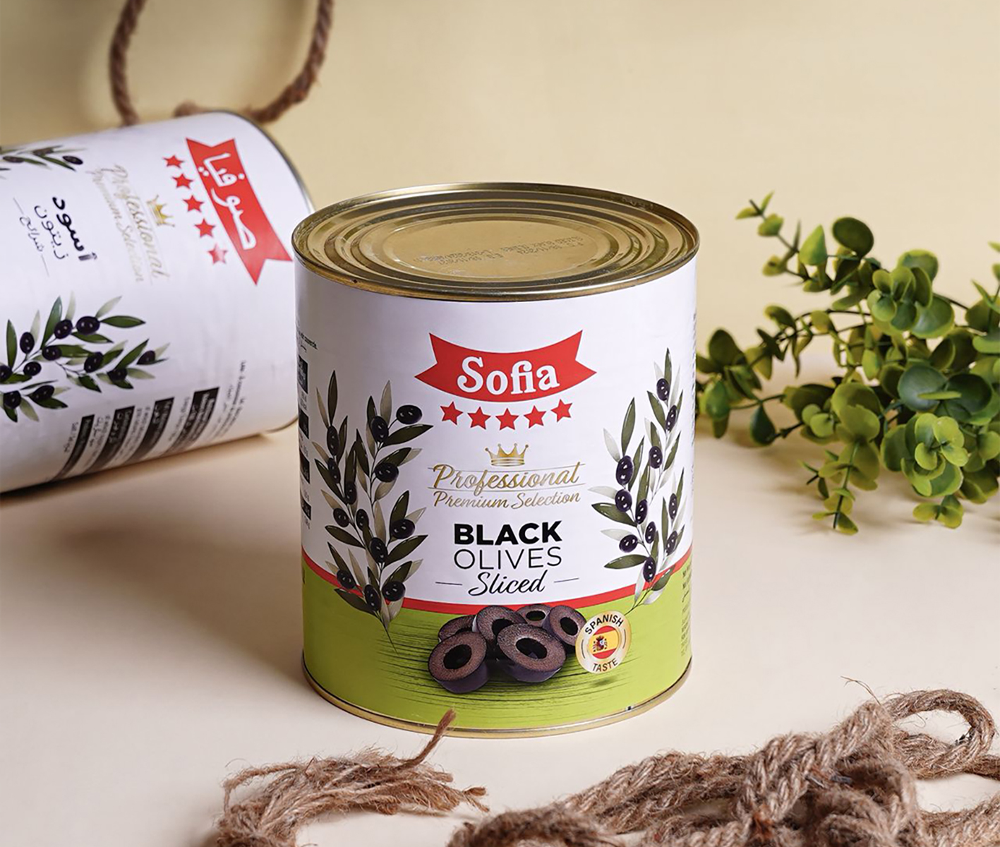 منتجات غذائية متنوعة